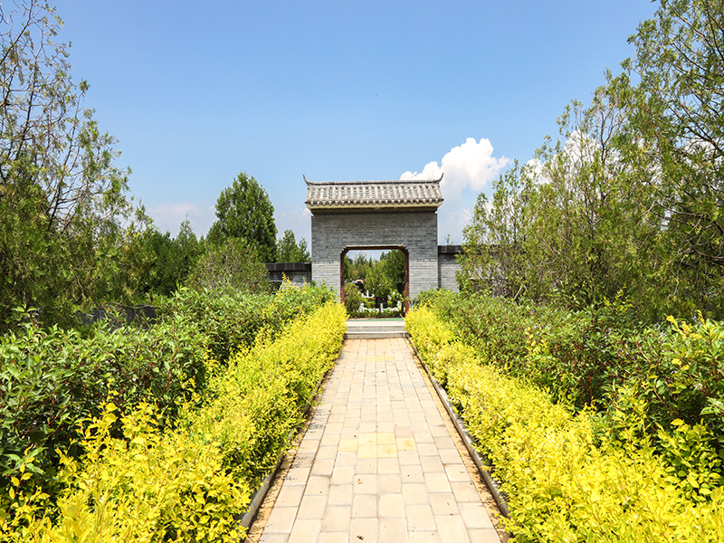 朝阳区有哪些陵园(长青园骨灰林环境、位置) 朝阳区有哪些陵园(长青园骨灰林环境、位置)