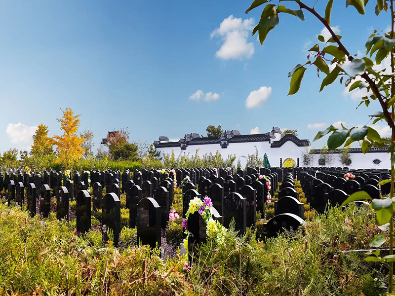 天堂陵园怎么样(天堂陵园有选墓专车吗) 天堂陵园怎么样(天堂陵园有选墓专车吗)