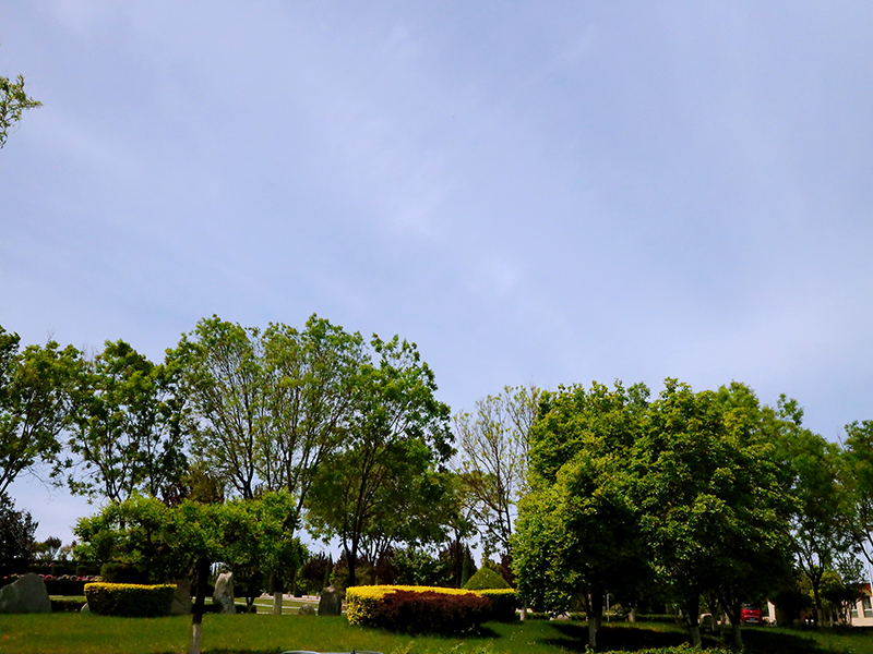 天慈墓园还有位置吗(天慈墓园怎么预约) 天慈墓园还有位置吗(天慈墓园怎么预约)