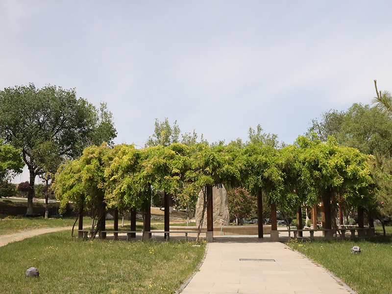 天慈墓园的价位是多少(还有墓地出售吗) 天慈墓园的价位是多少(还有墓地出售吗)