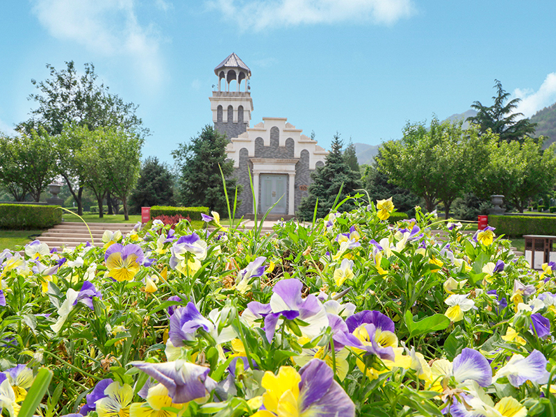 北京大兴天慈墓地价格高吗(购买墓地需要注意什么问题) 北京大兴天慈墓地价格高吗(购买墓地需要注意什么问题)