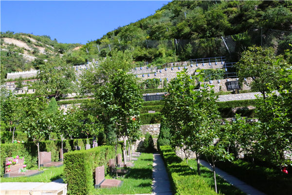 火化服务一般什么时候举行(火化服务如何预约) 火化服务一般什么时候举行(火化服务如何预约)