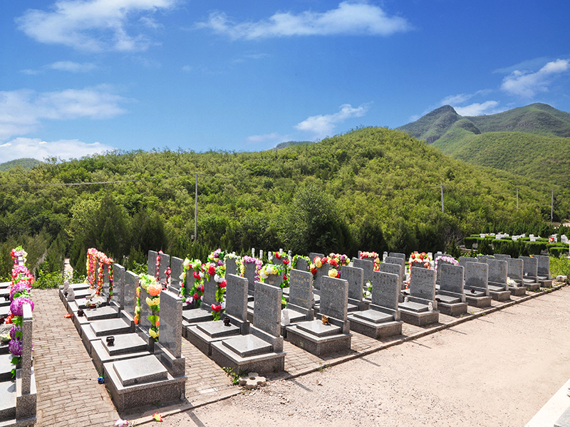 北京炎黄陵园班车有吗(北京炎黄陵园价格是多少) 北京炎黄陵园班车有吗(北京炎黄陵园价格是多少)