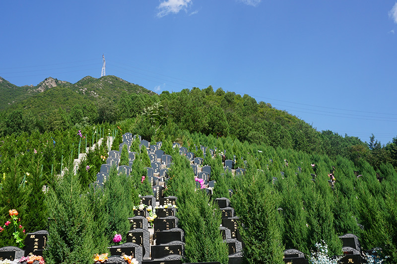 太子峪陵园还能买墓吗(墓地环境怎么样呢) 太子峪陵园还能买墓吗(墓地环境怎么样呢)