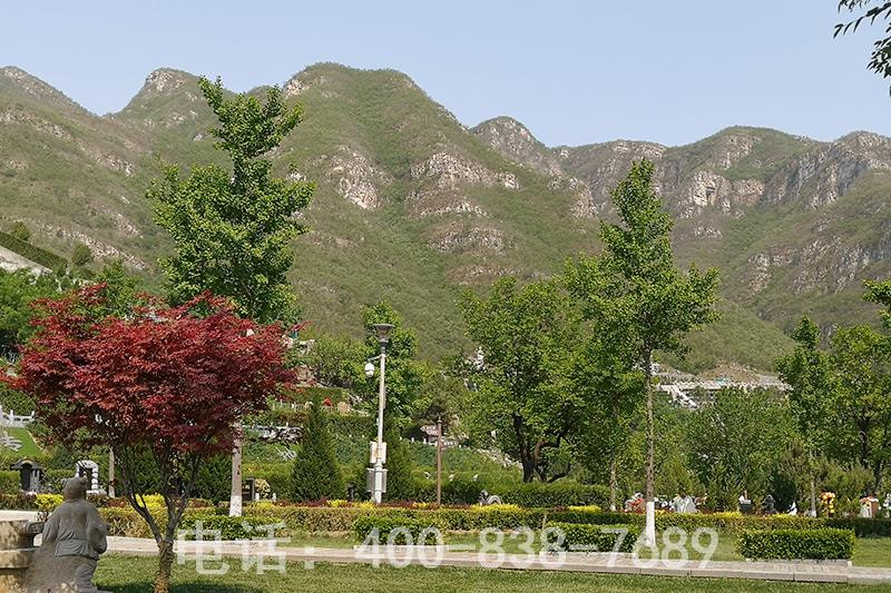 桃峰陵园地位位于北京昌平区兴寿镇桃峪口