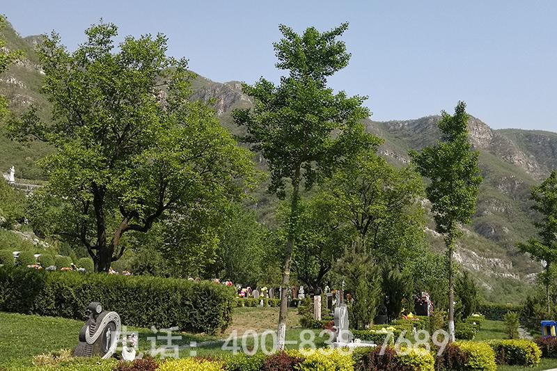 桃峰陵园可以称得上是人生的后花园